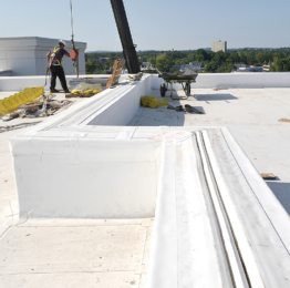 RoofJoint roof expansion joint EMSEAL